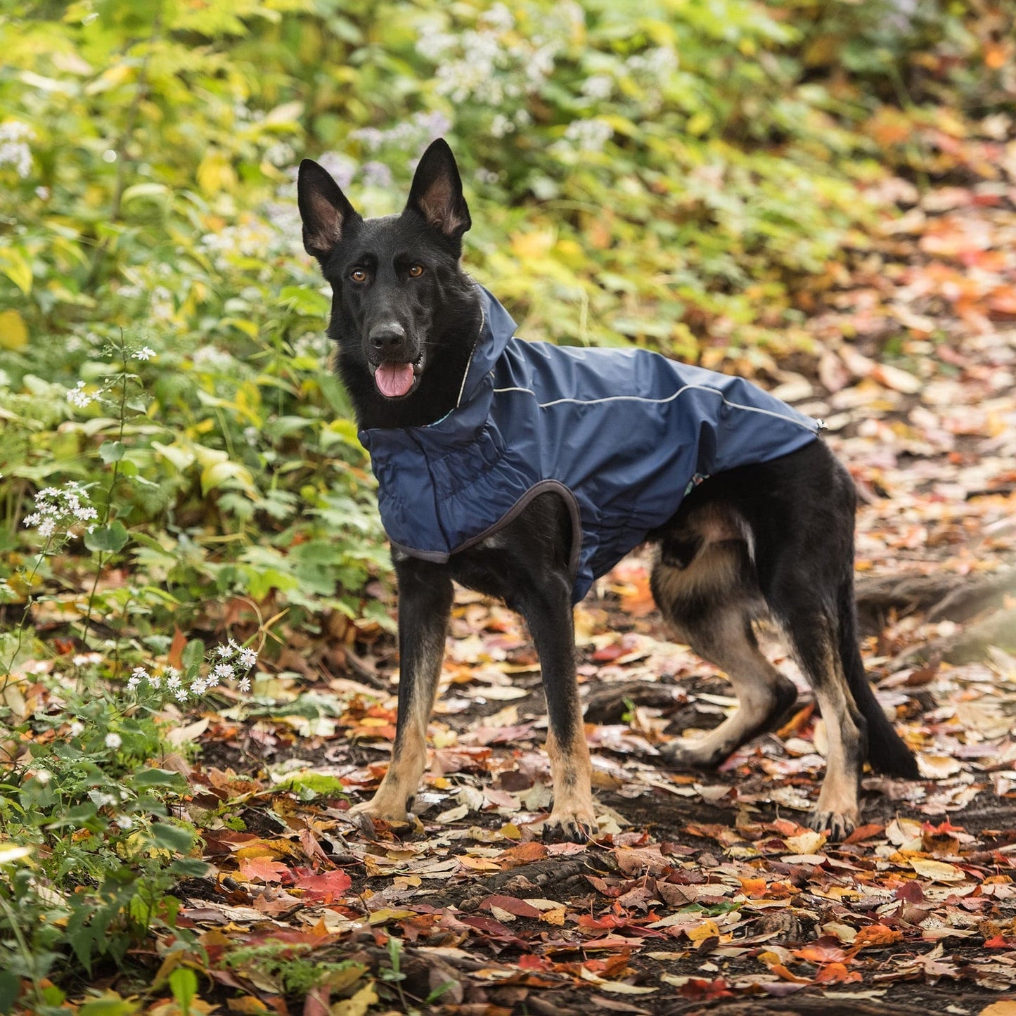 GF Pet - Reversible Elasto-Fit Raincoat - Navy