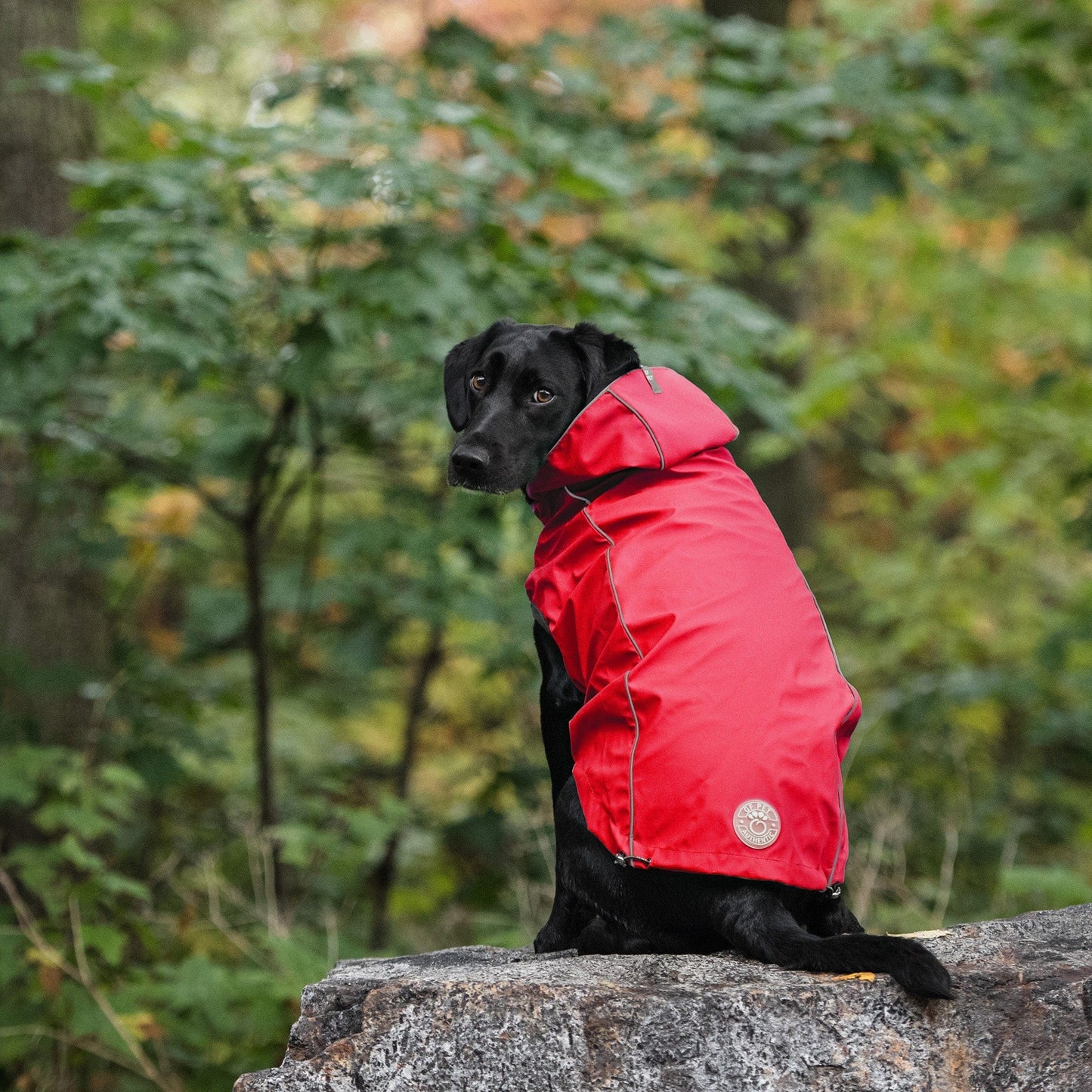 GF Pet - Reversible Elasto-Fit Raincoat - Red