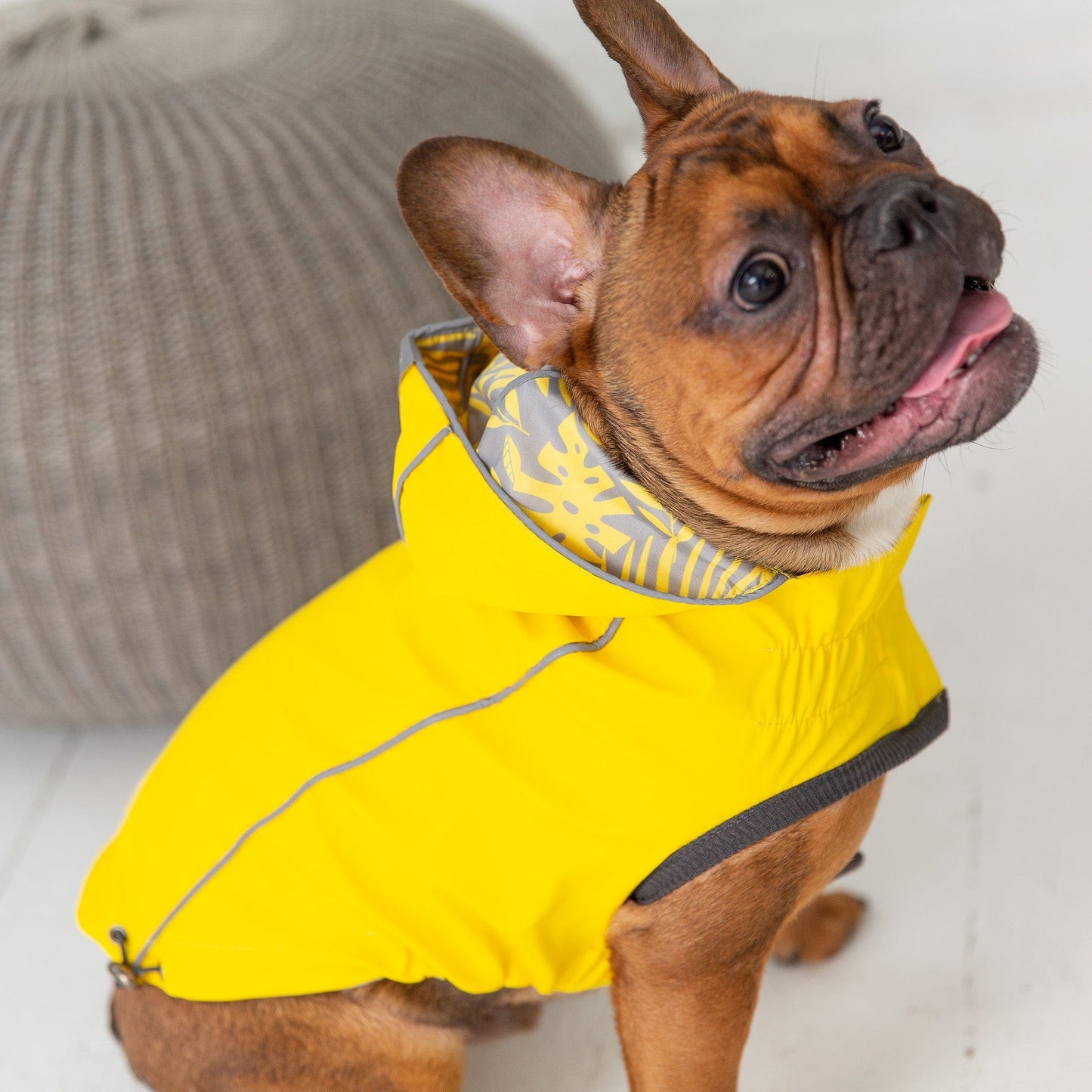 GF Pet - Reversible Elasto-Fit Raincoat - Yellow