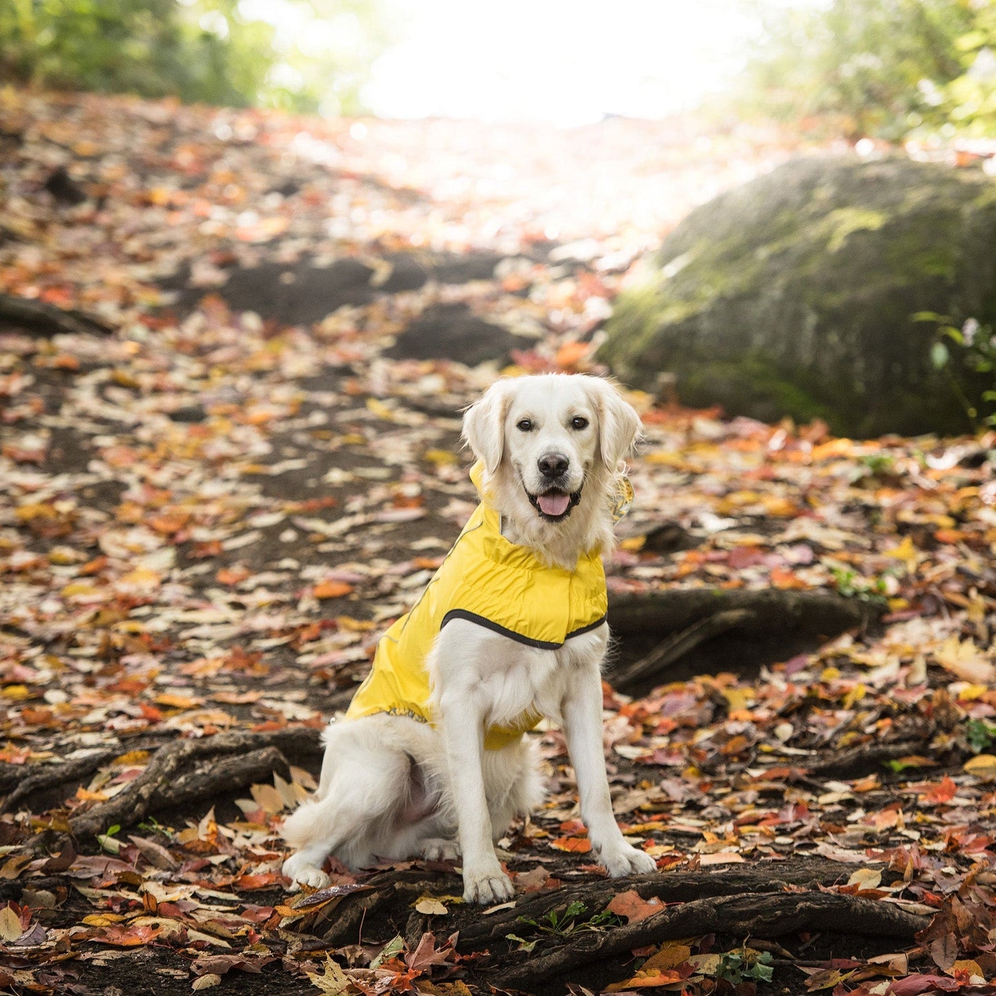 GF Pet - Reversible Elasto-Fit Raincoat - Yellow