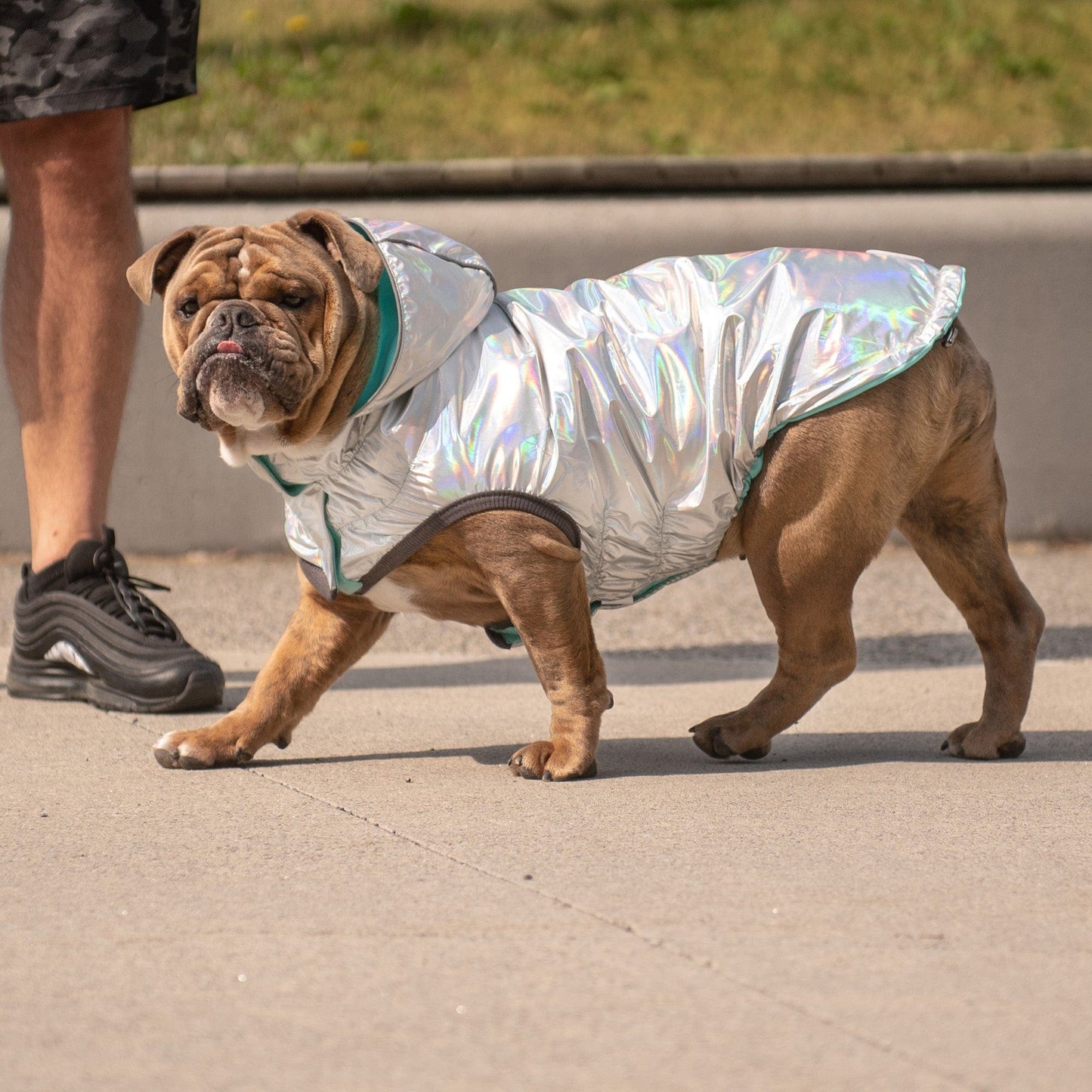 GF Pet - Reversible Raincoat - Neon Aqua with Iridescent