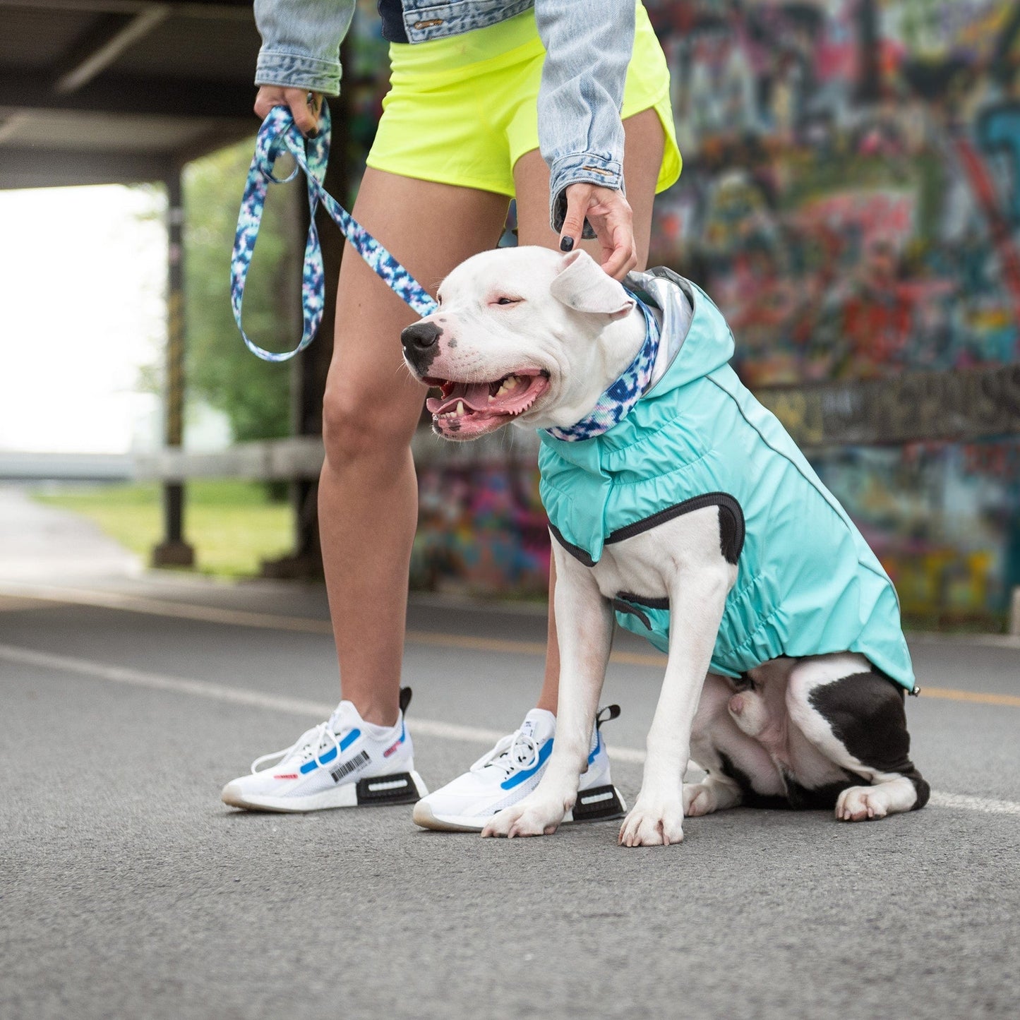 GF Pet - Reversible Raincoat - Neon Aqua with Iridescent