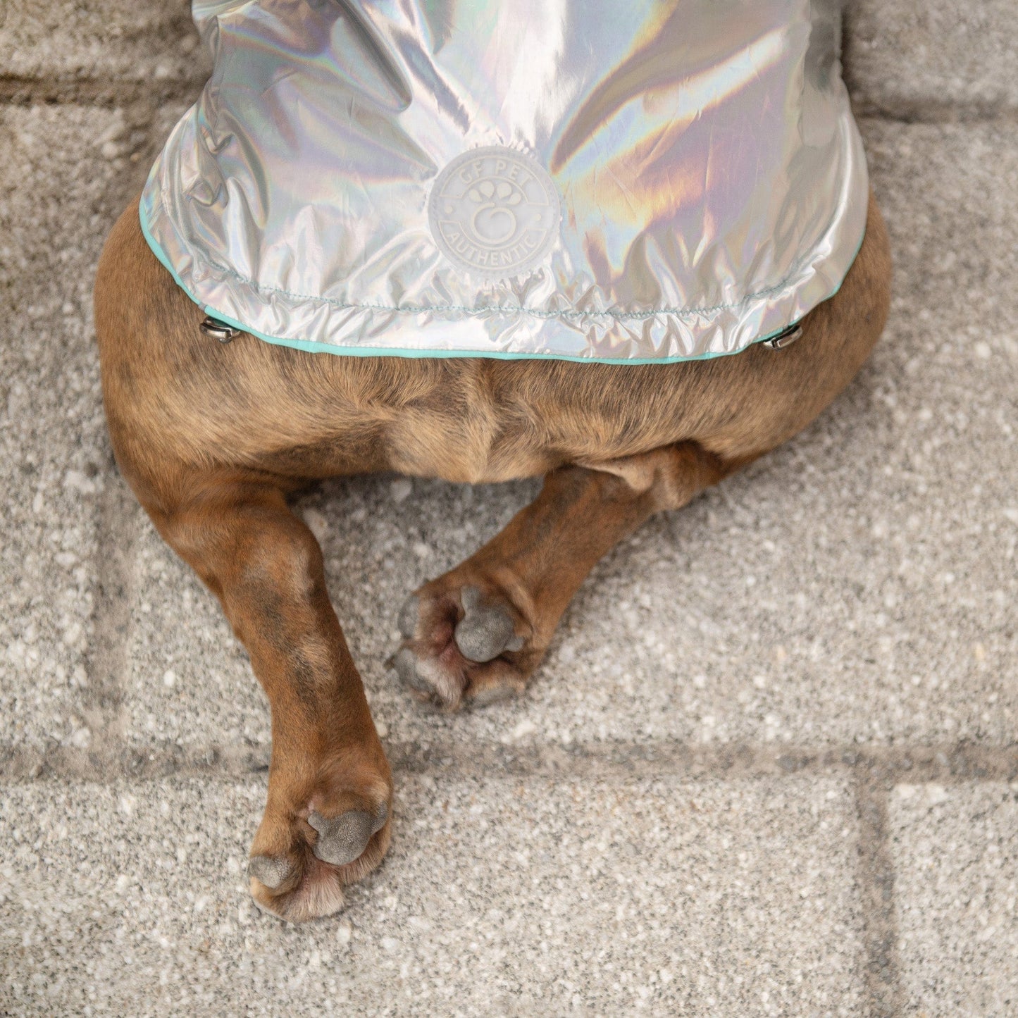 GF Pet - Reversible Raincoat - Neon Aqua with Iridescent