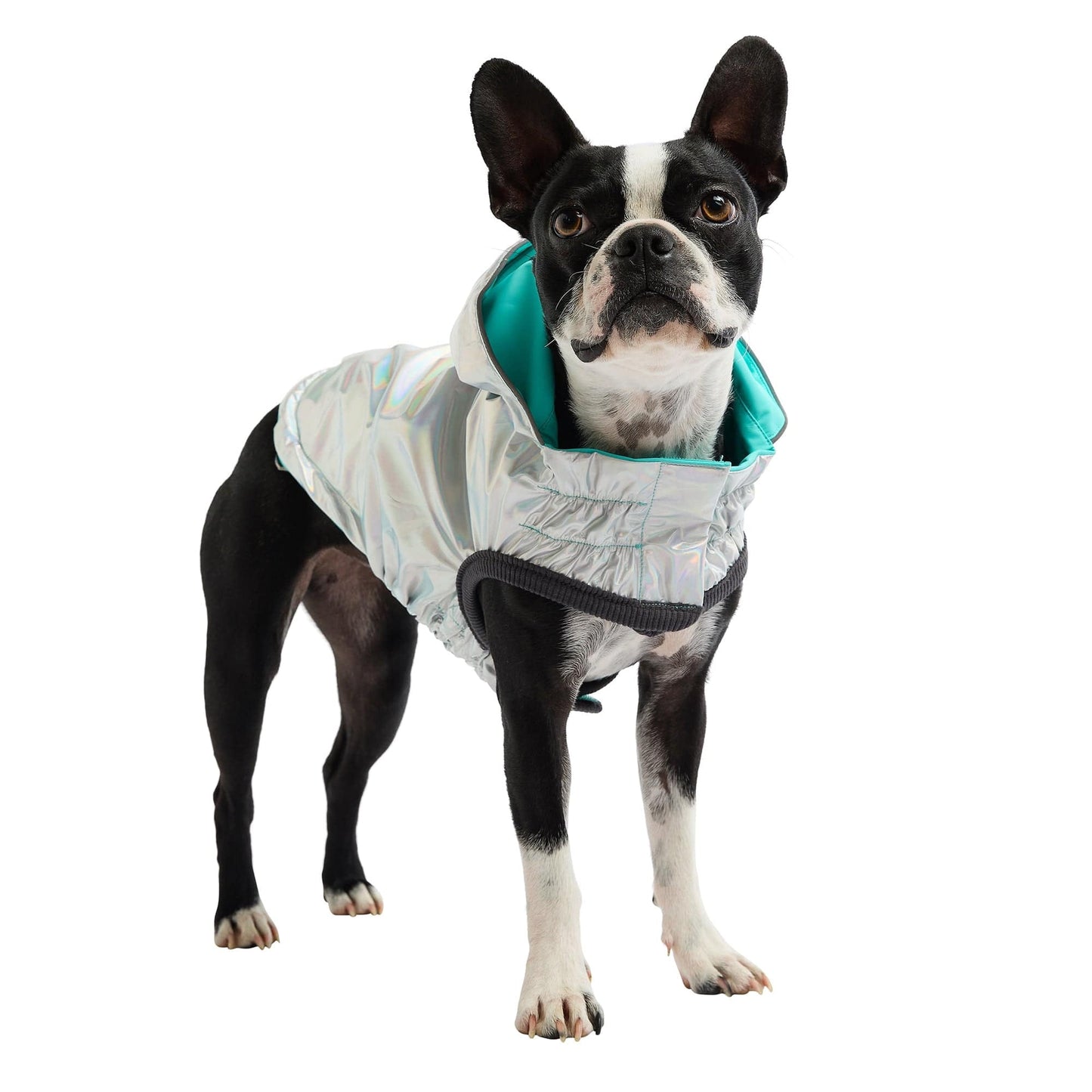 GF Pet - Reversible Raincoat - Neon Aqua with Iridescent