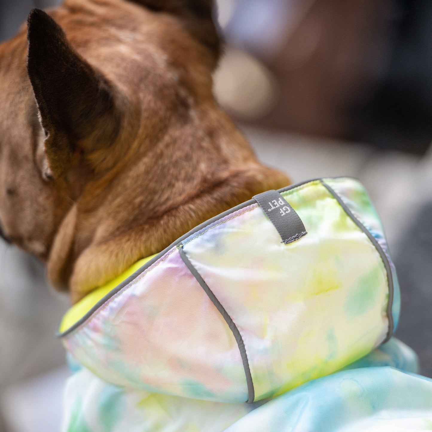 GF Pet - Reversible Raincoat - Neon Yellow with Tie Dye