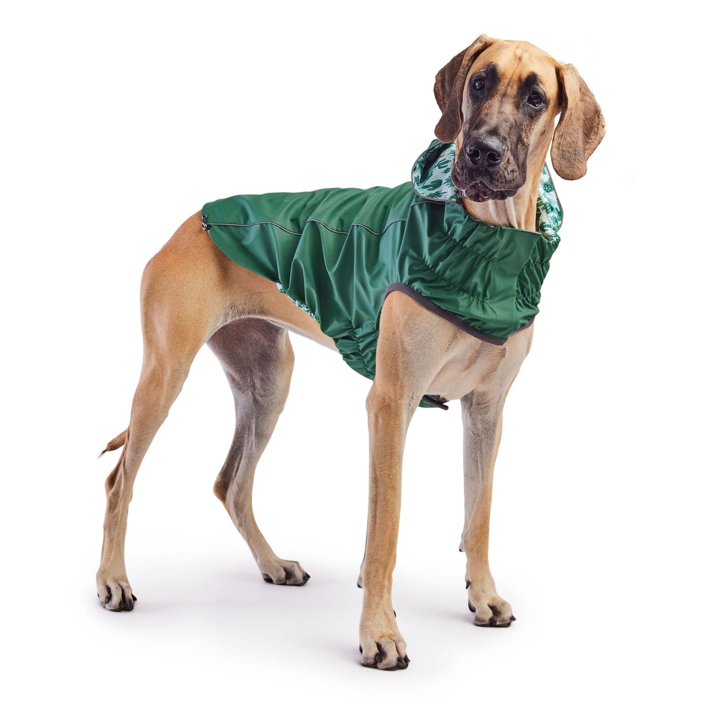 GF Pet - Reversible Elasto-Fit Raincoat - Green/Green