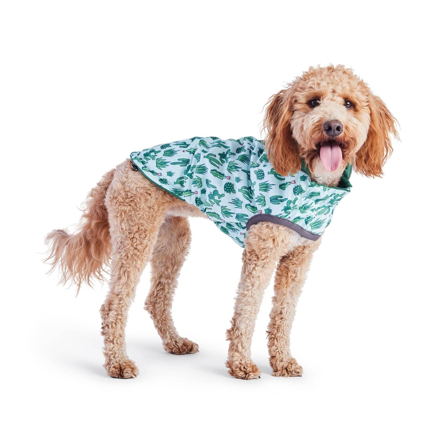 GF Pet - Reversible Elasto-Fit Raincoat - Green/Green