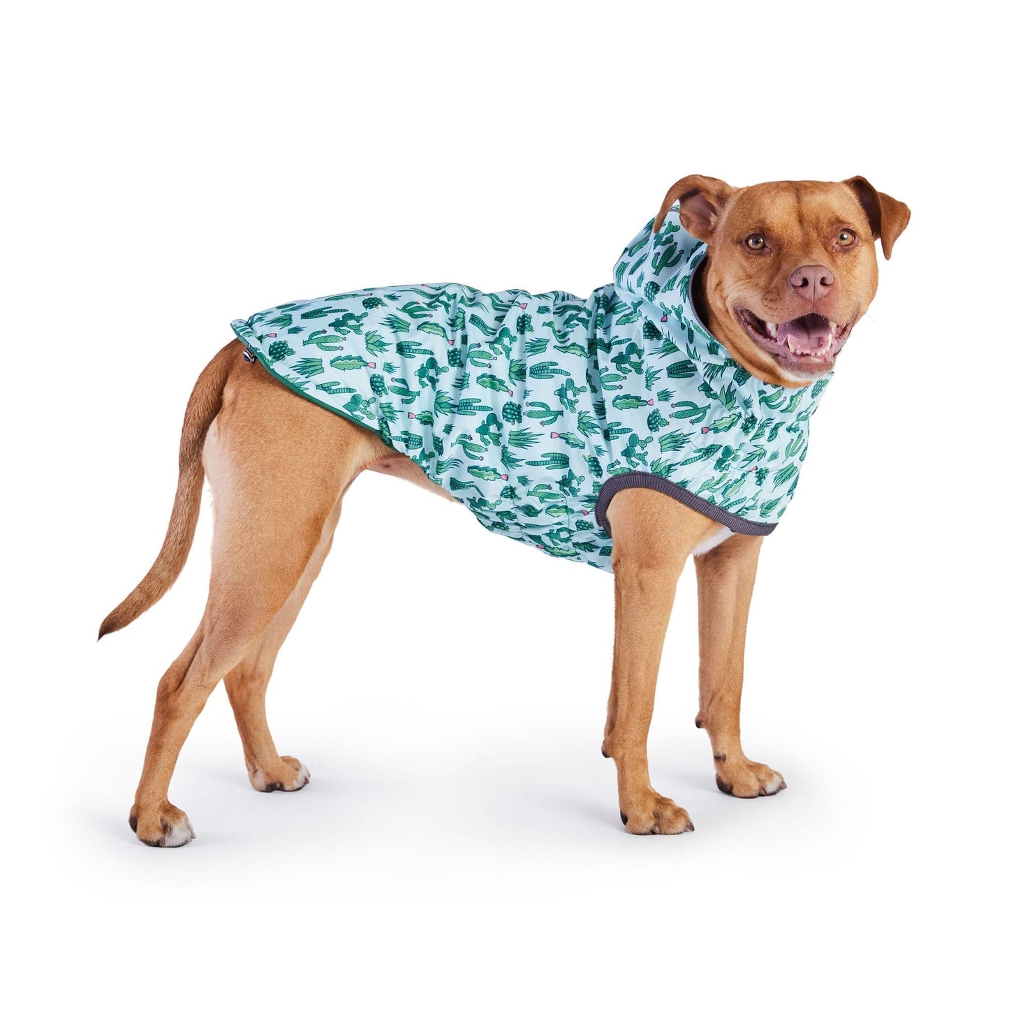 GF Pet - Reversible Elasto-Fit Raincoat - Green/Green