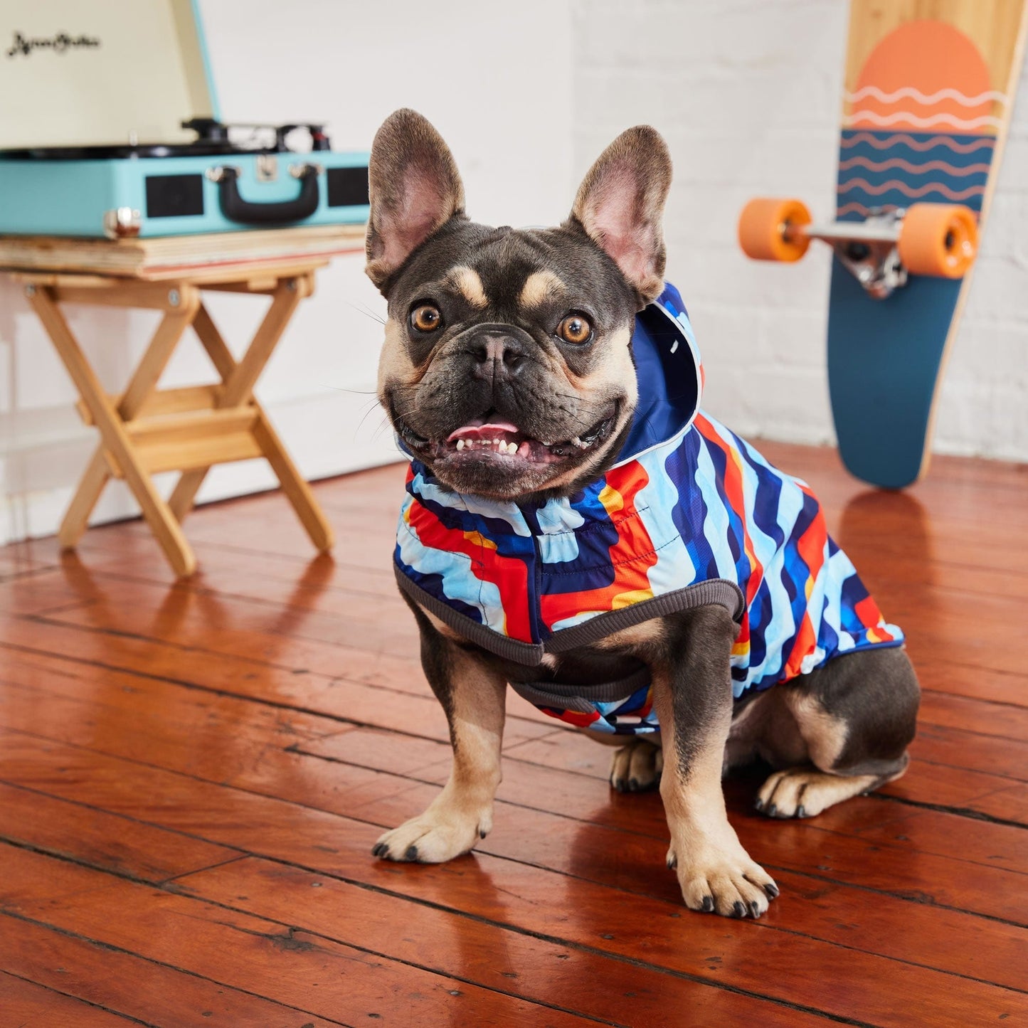 GF Pet - Reversible Elasto-Fit Raincoat - Navy/Navy