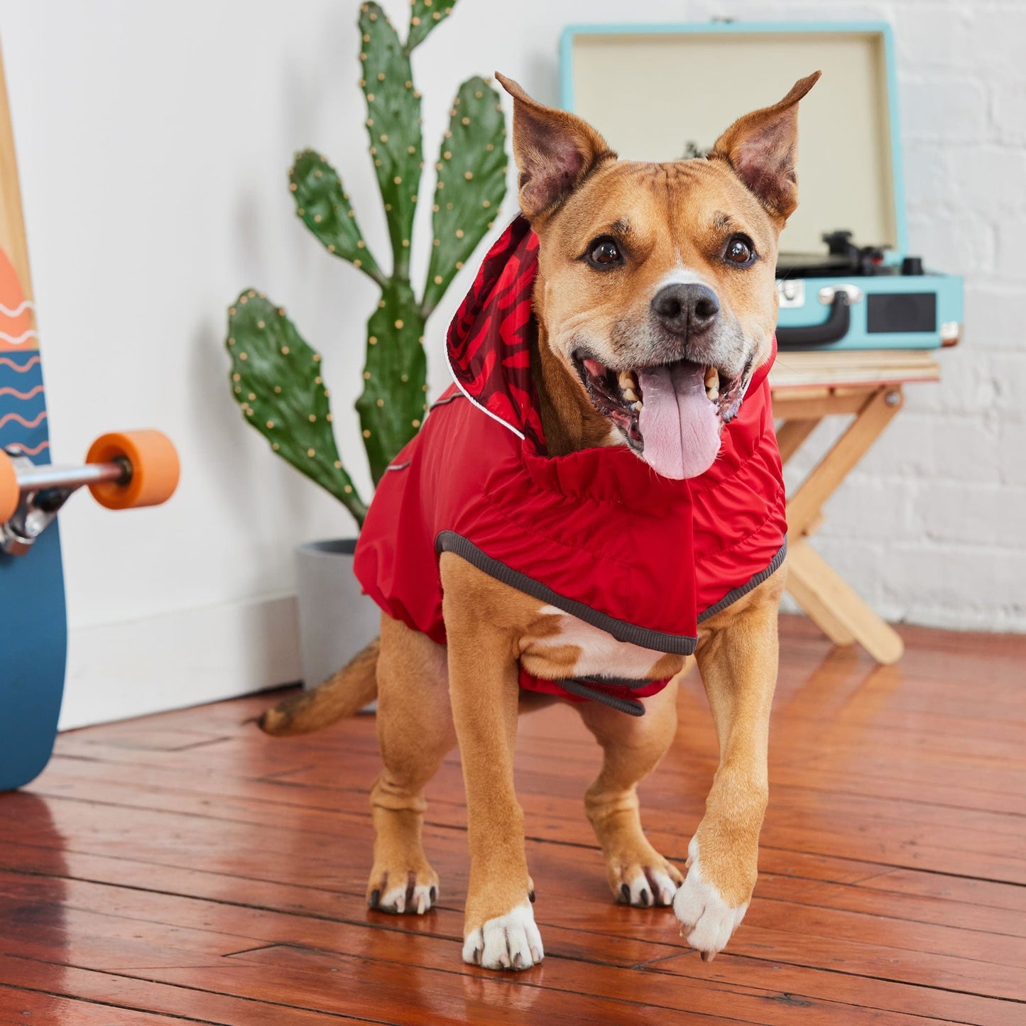 GF Pet - Reversible Elasto-Fit Raincoat - Red/Red