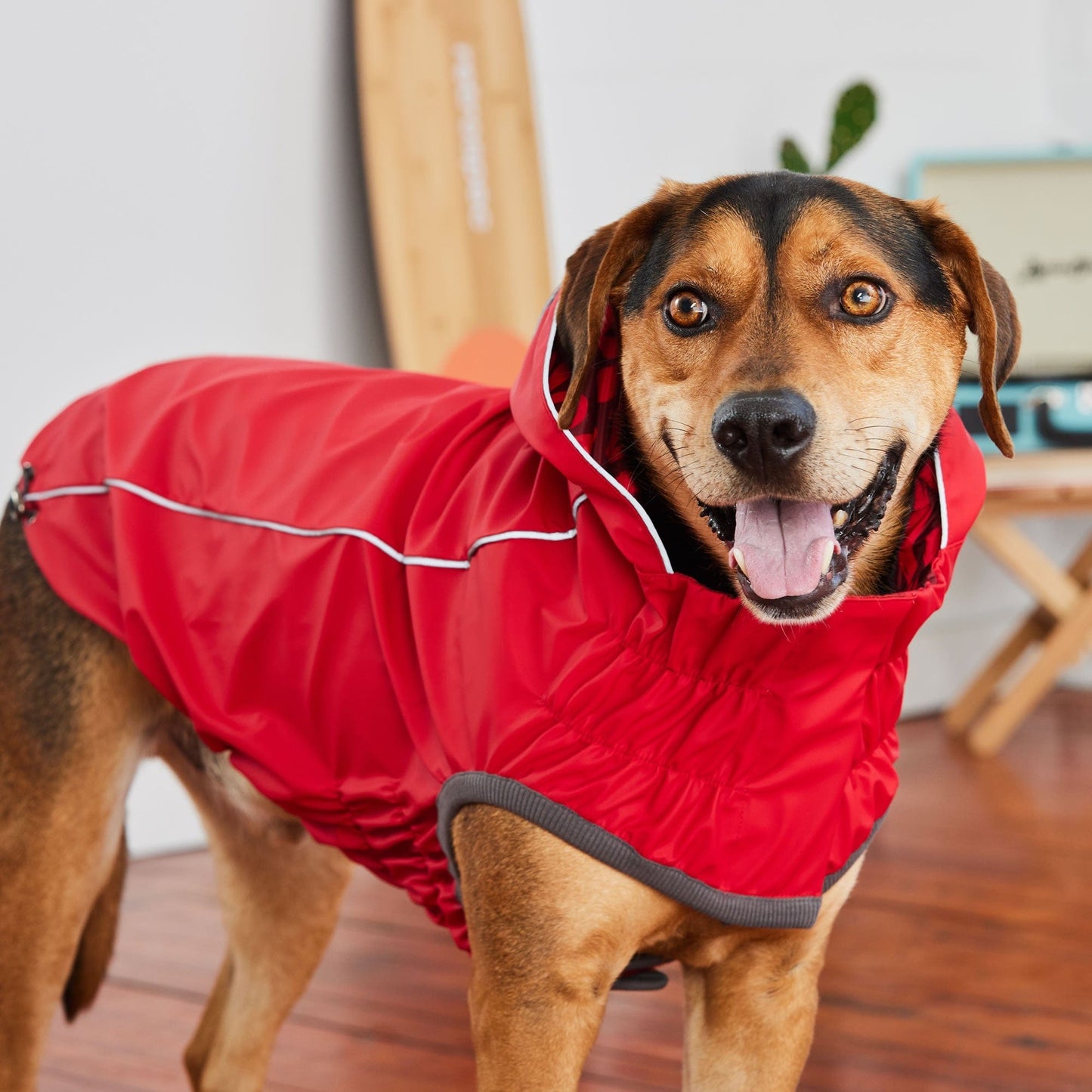 GF Pet - Reversible Elasto-Fit Raincoat - Red/Red