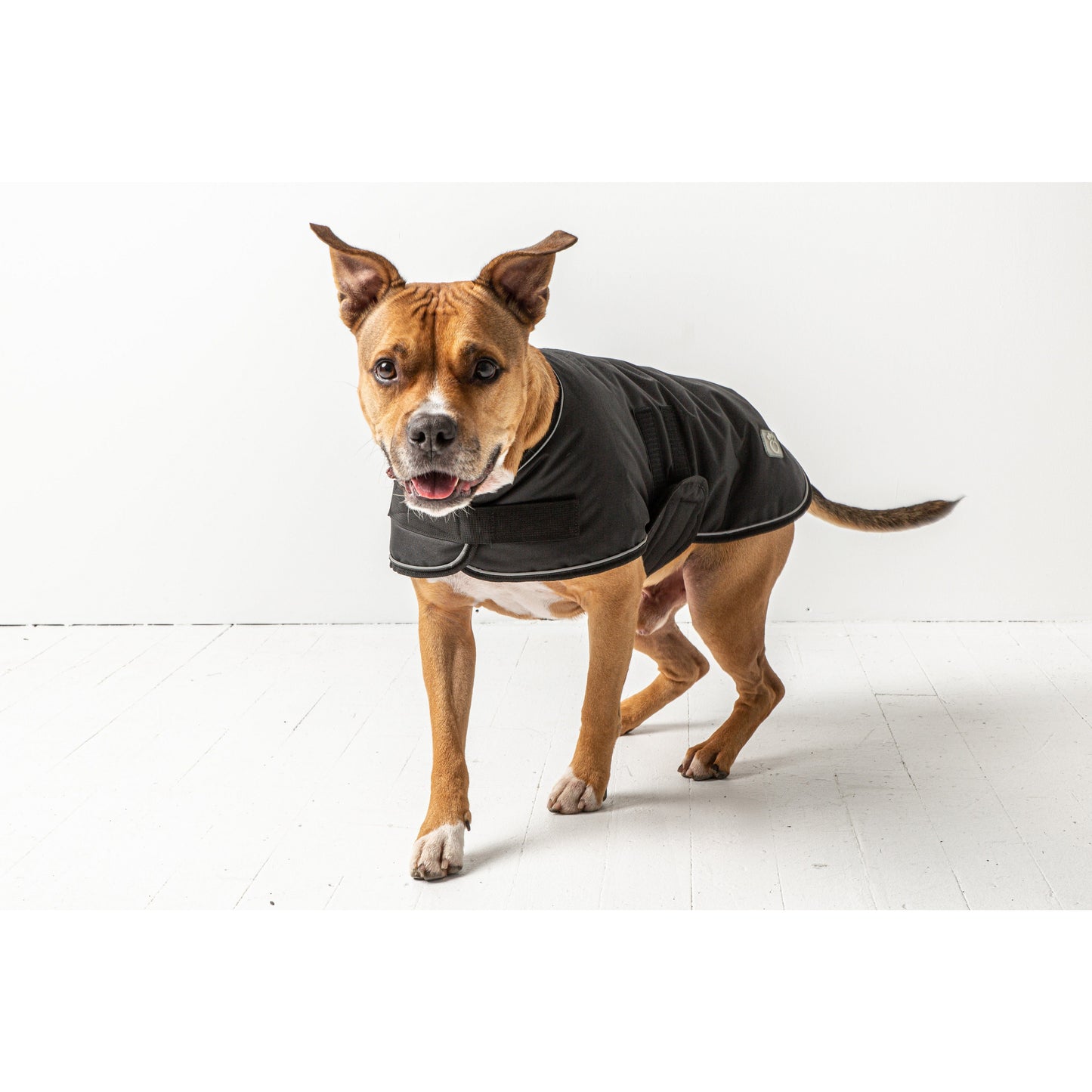 GF Pets Dog Blanket Jacket - Black