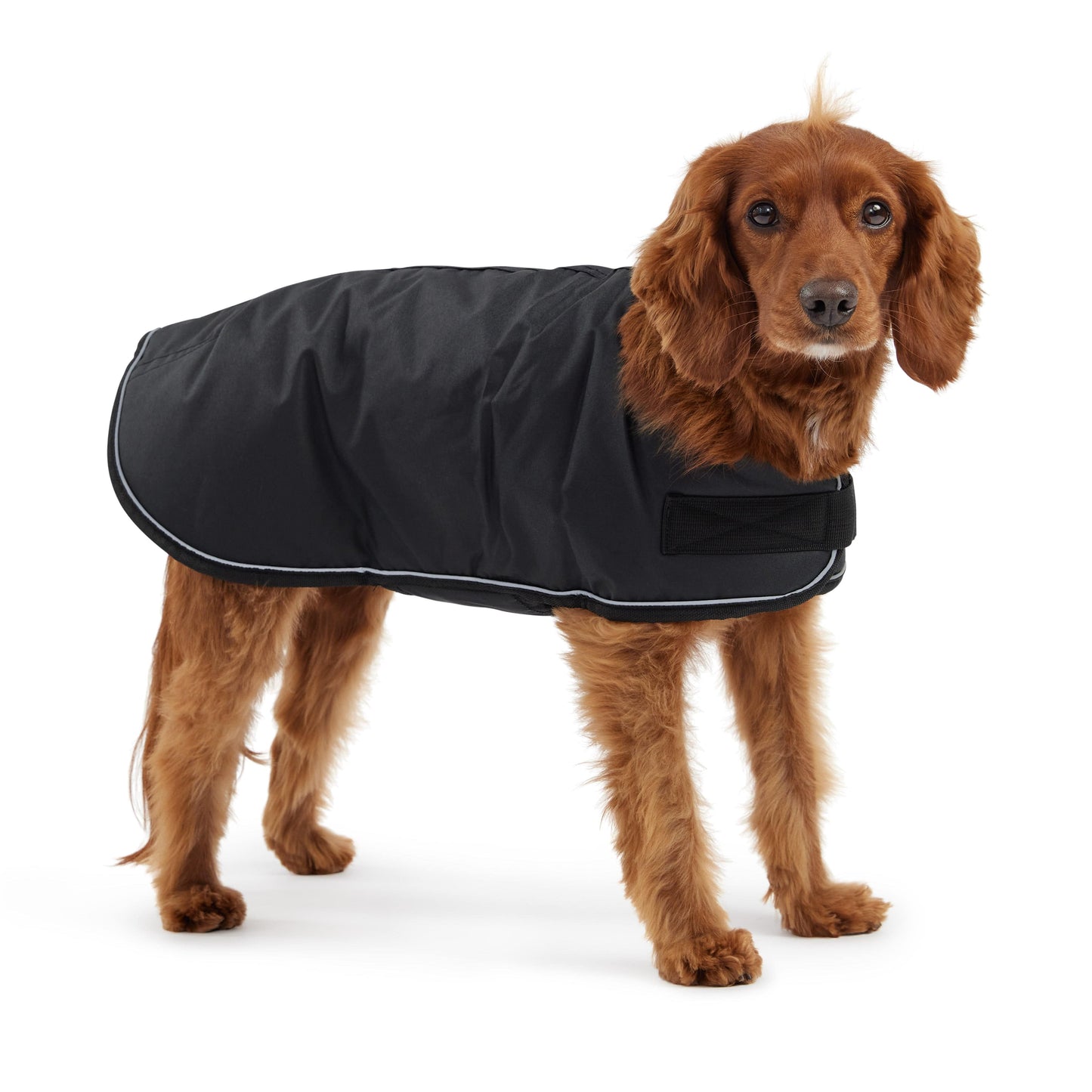 GF Pets Dog Blanket Jacket - Black