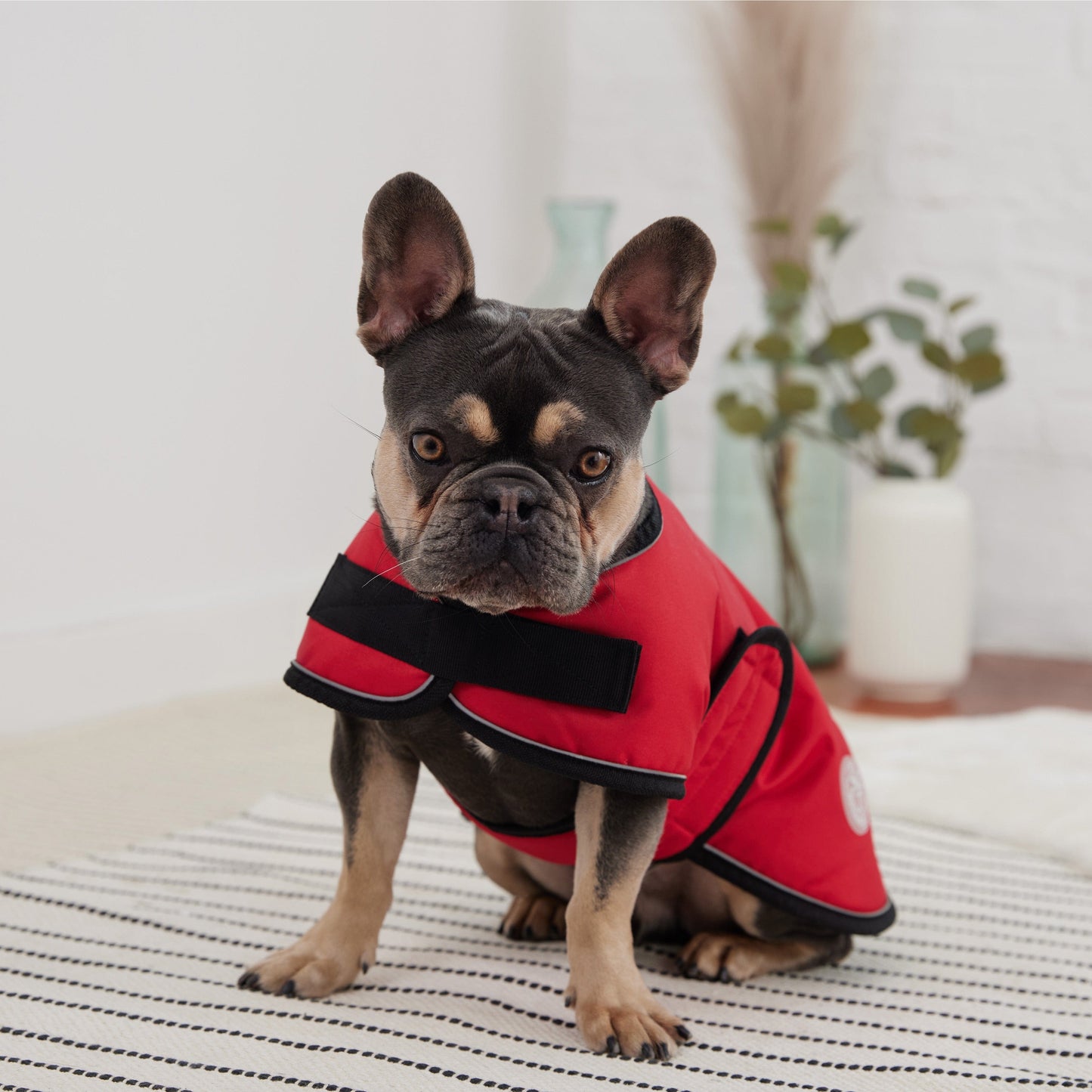 GF Pets Dog Blanket Jacket - Red