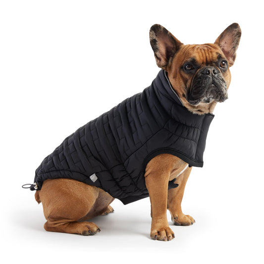 GF Pet - Reversible Elasto-Fit Chalet Jacket - Black