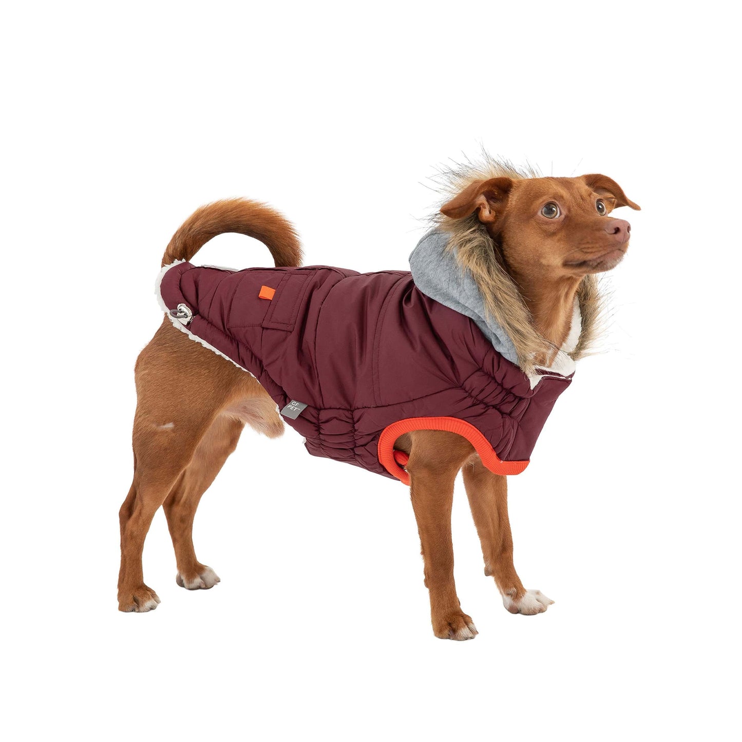 GF Pet - Winter Sailor Parka - Burgundy