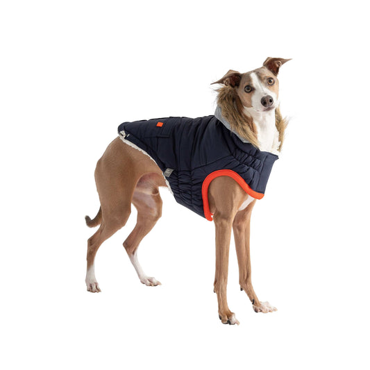 GF Pet - Winter Sailor Parka - Navy