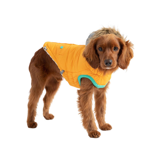 GF Pet - Winter Sailor Parka - Yellow