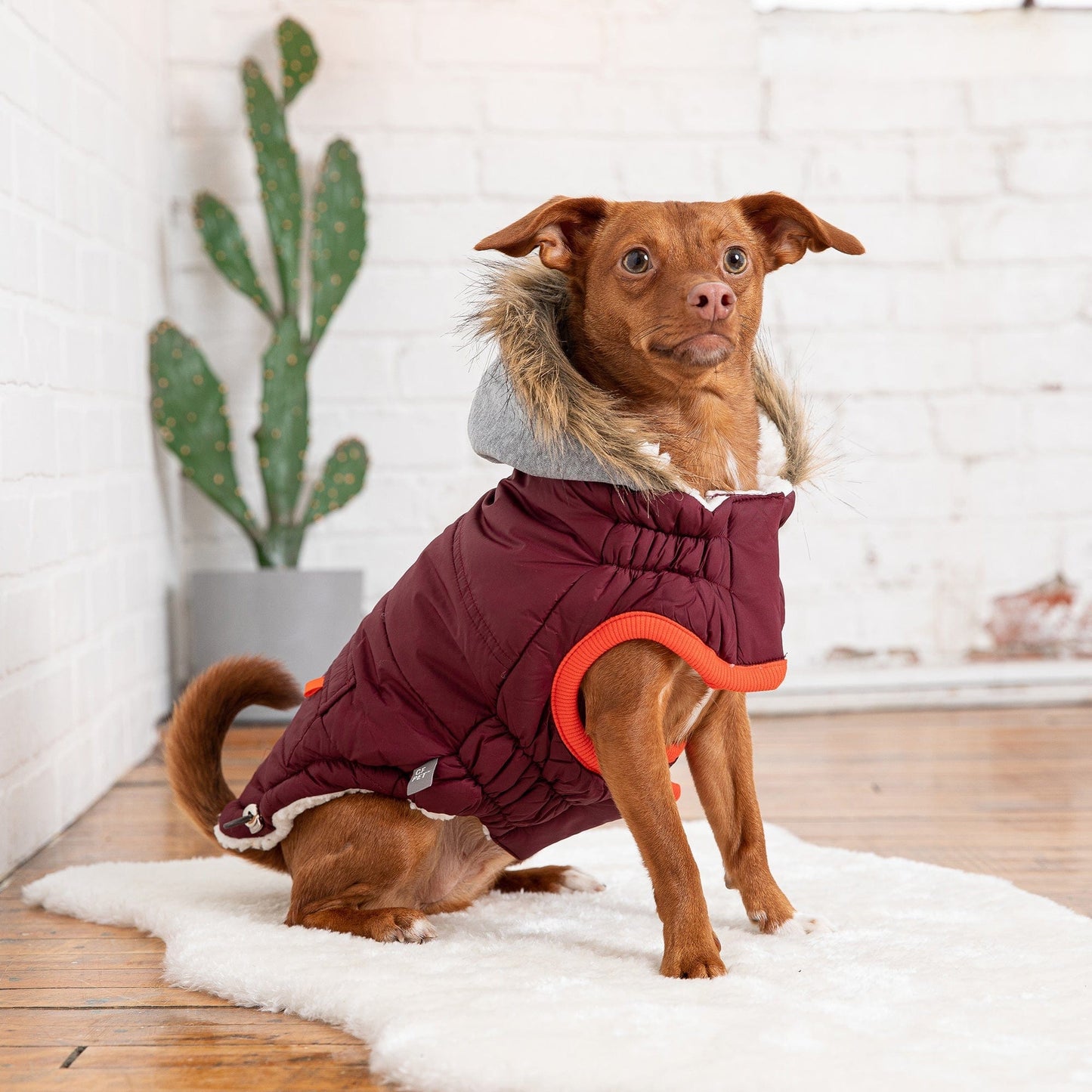 GF Pet - Winter Sailor Parka - Burgundy