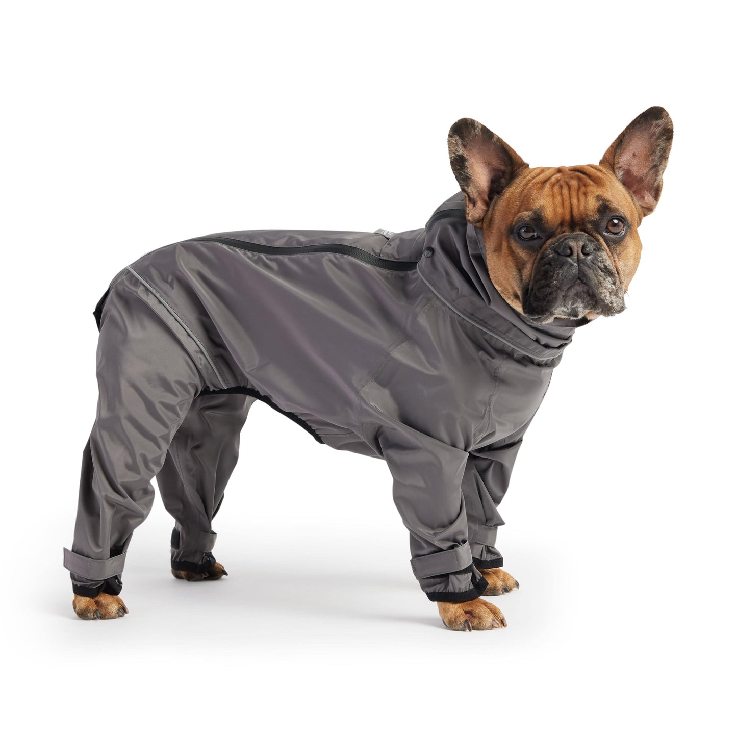 GF Pet - Splash Suit - Charcoal