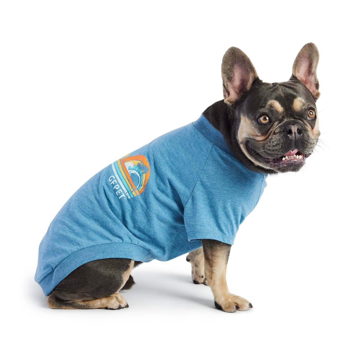 GF Pets Graphic Tee - Blue