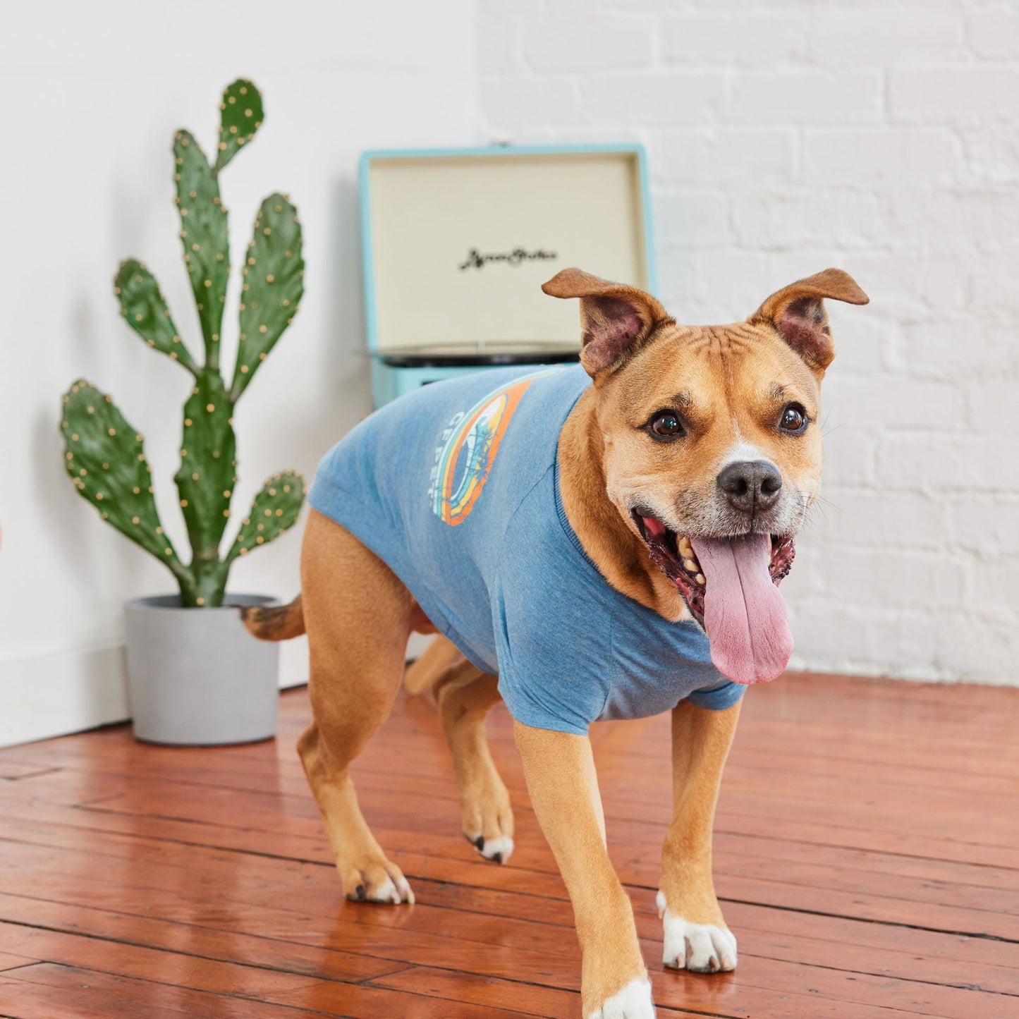 GF Pets Graphic Tee - Blue