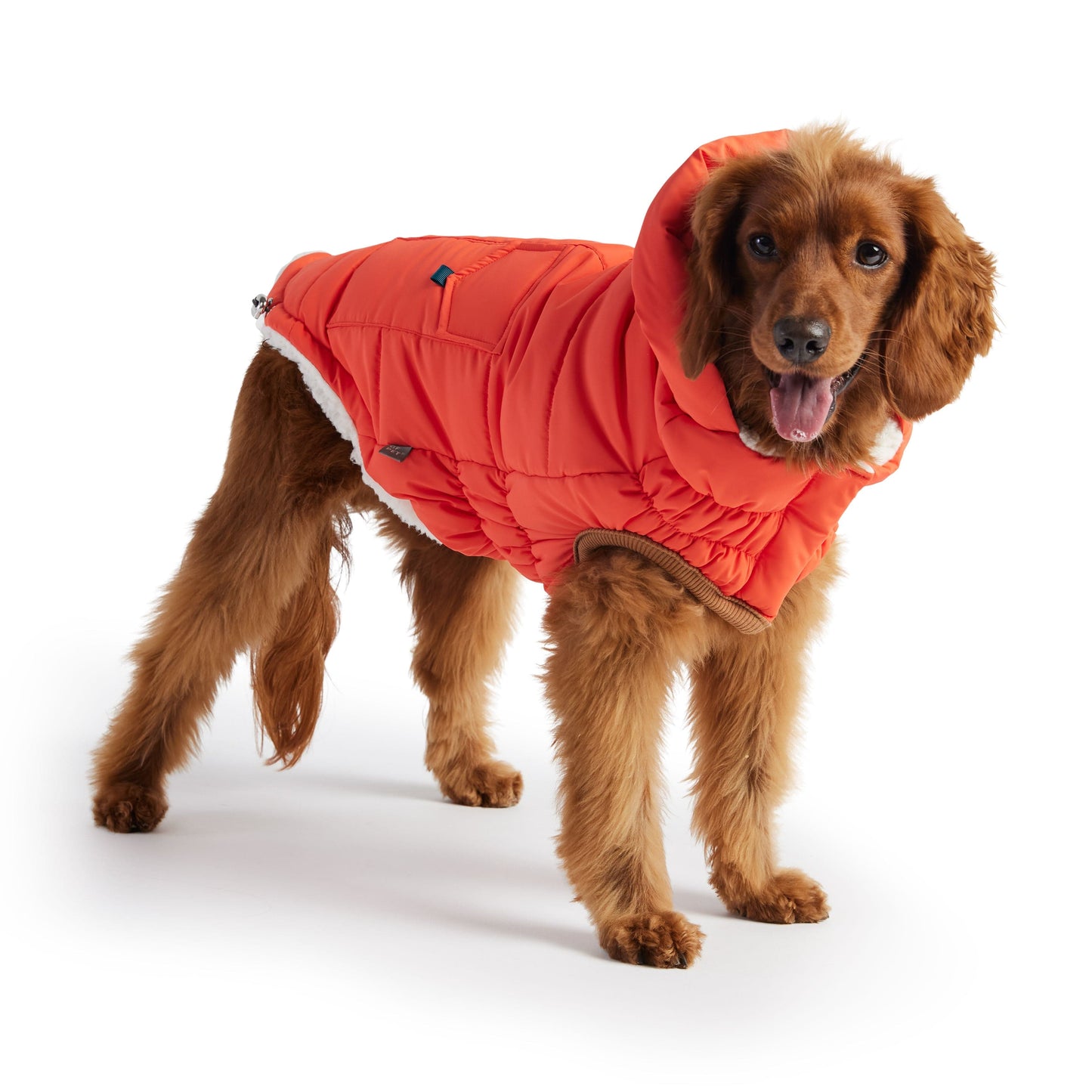 GF Pet - Super Puff Parka - Orange