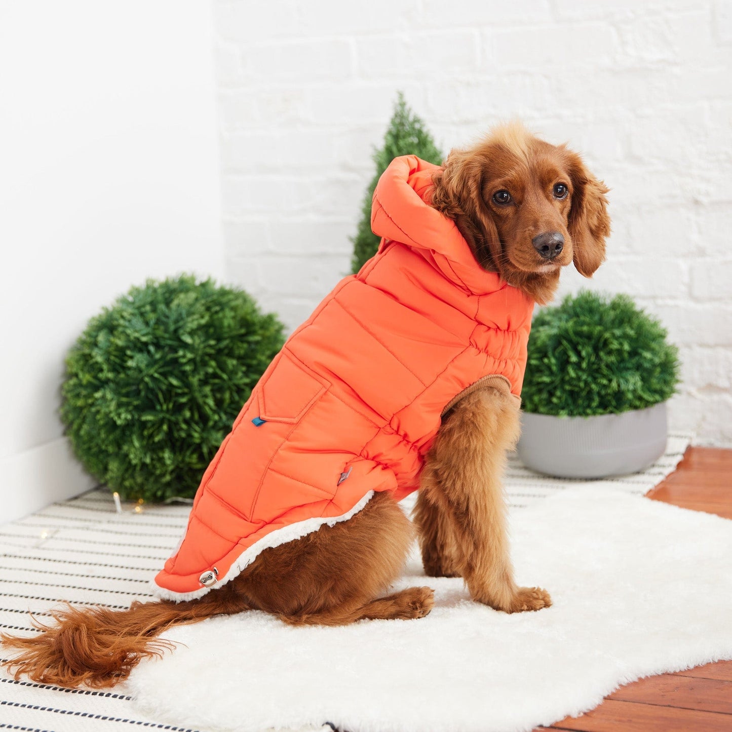 GF Pet - Super Puff Parka - Orange