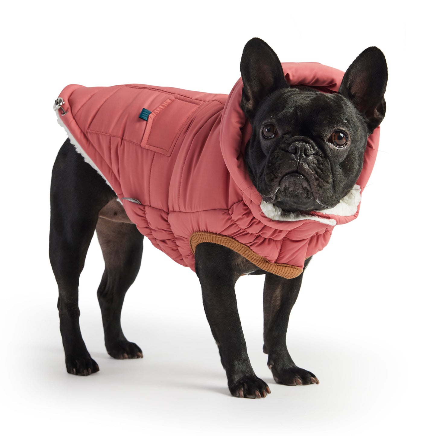 GF Pet - Super Puff Parka - Pink