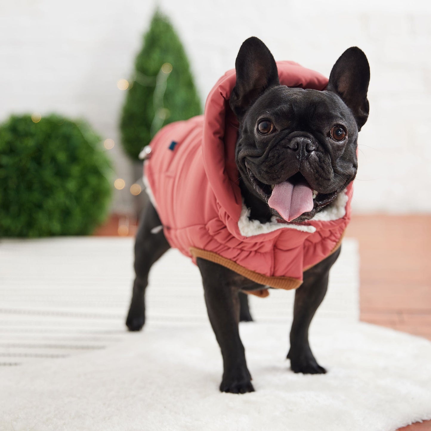 GF Pet - Super Puff Parka - Pink