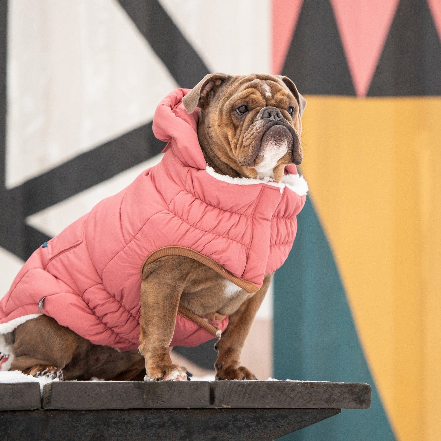 GF Pet - Super Puff Parka - Pink