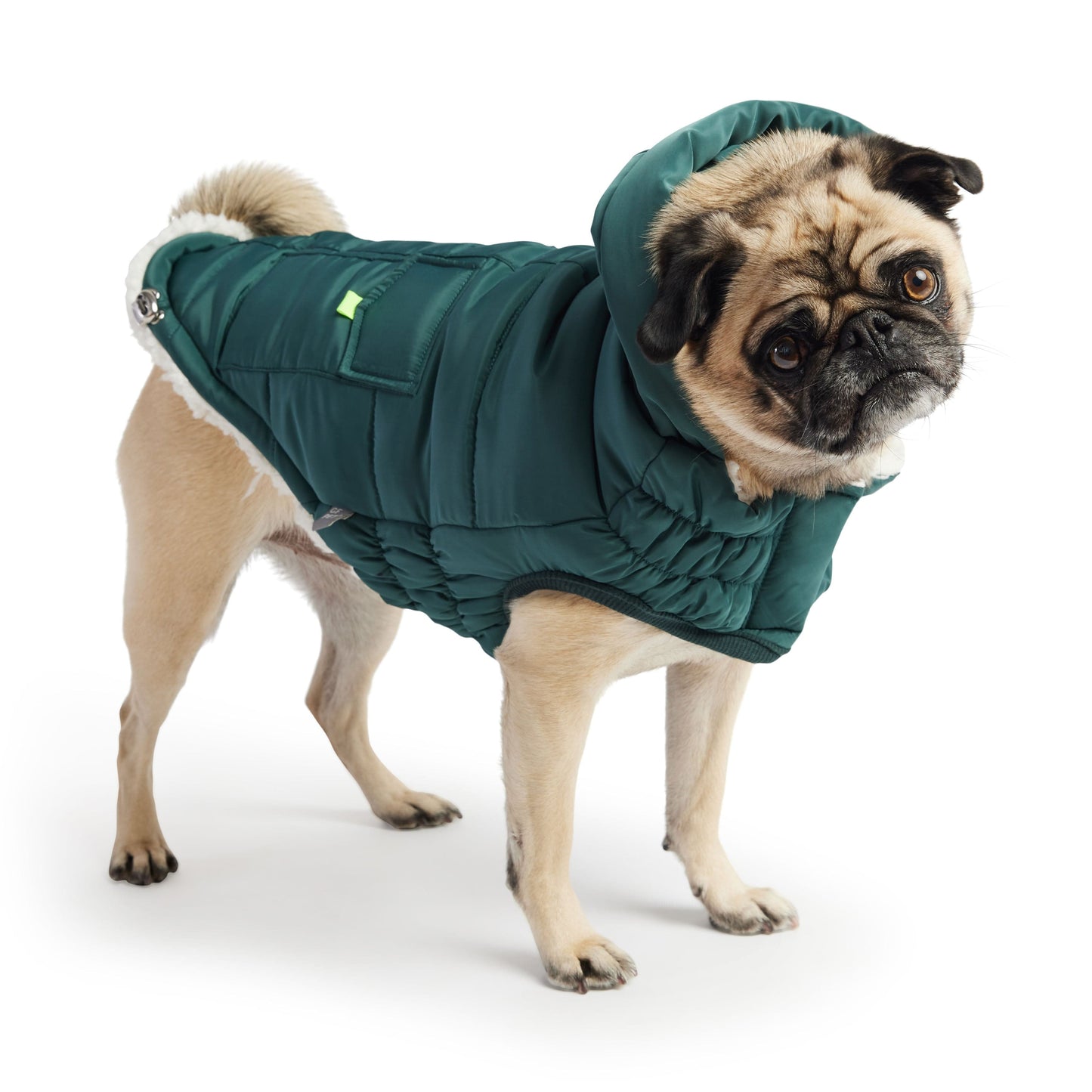 GF Pet - Super Puff Parka - Teal