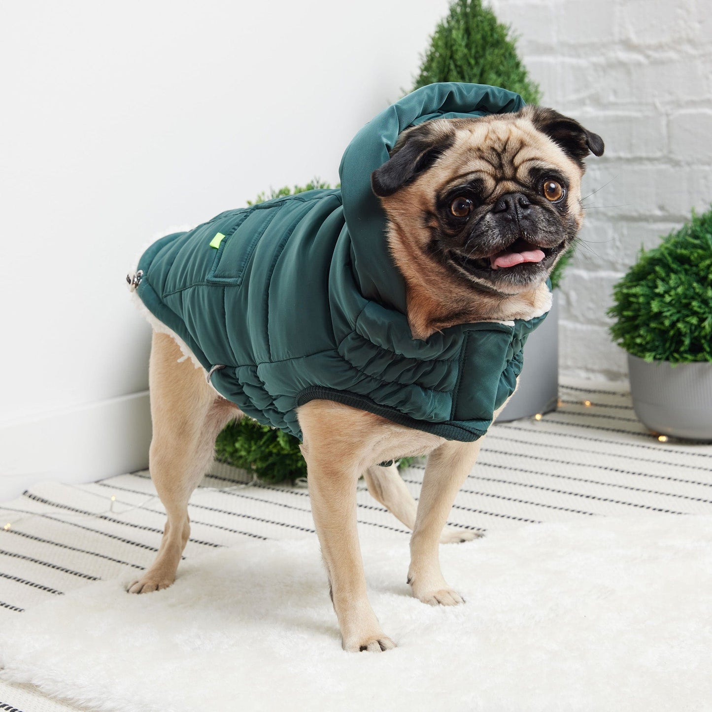 GF Pet - Super Puff Parka - Teal