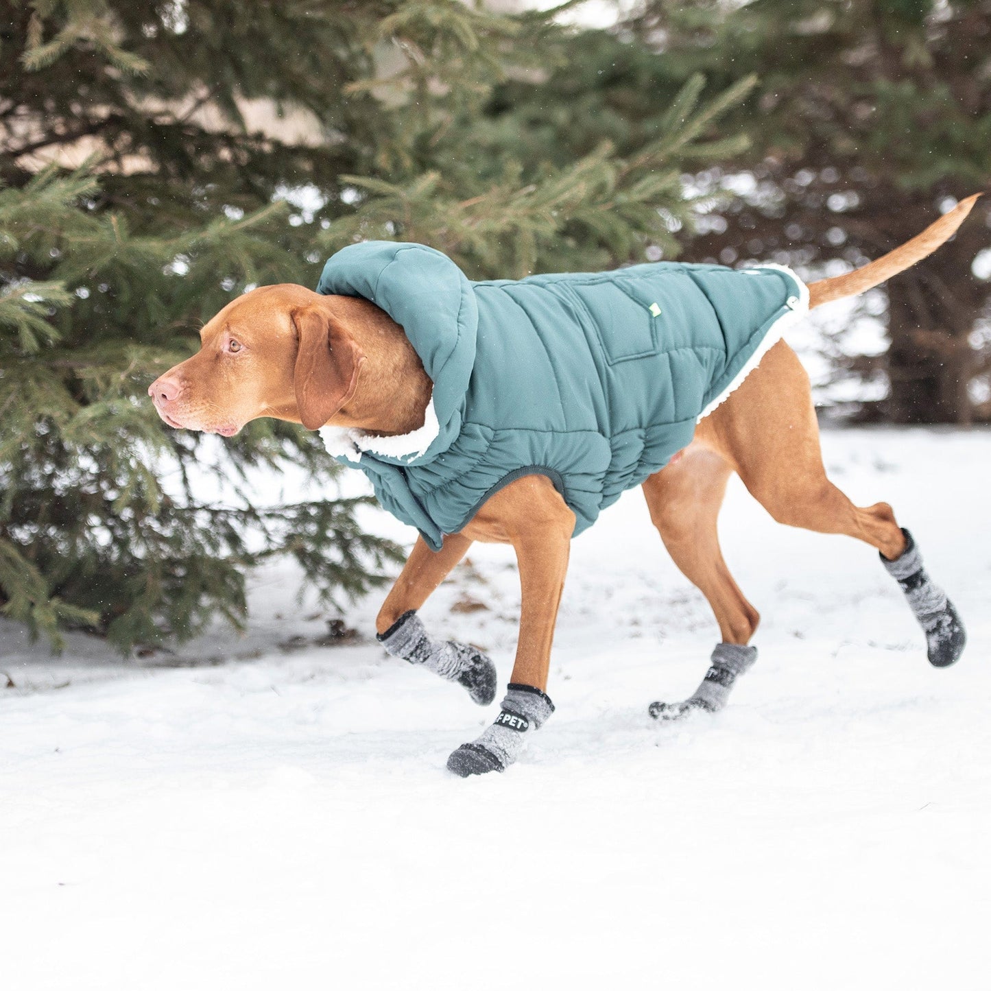 GF Pet - Super Puff Parka - Teal