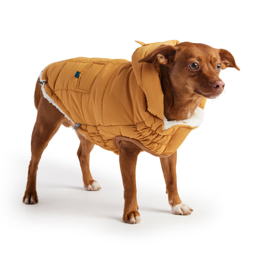 GF Pet - Super Puff Parka - Yellow