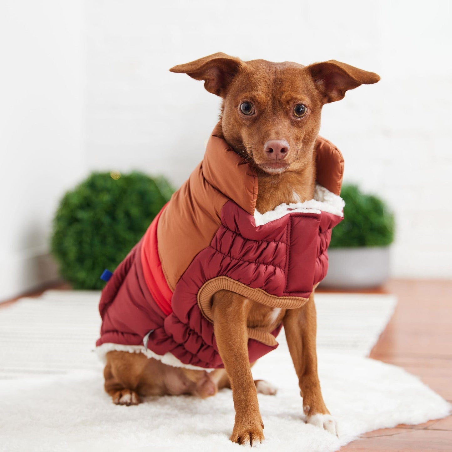 GF Pet - Retro Puffer - Dark Red