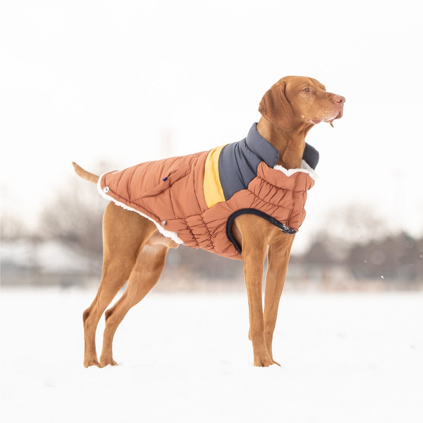 GF Pet - Retro Puffer - Hazel