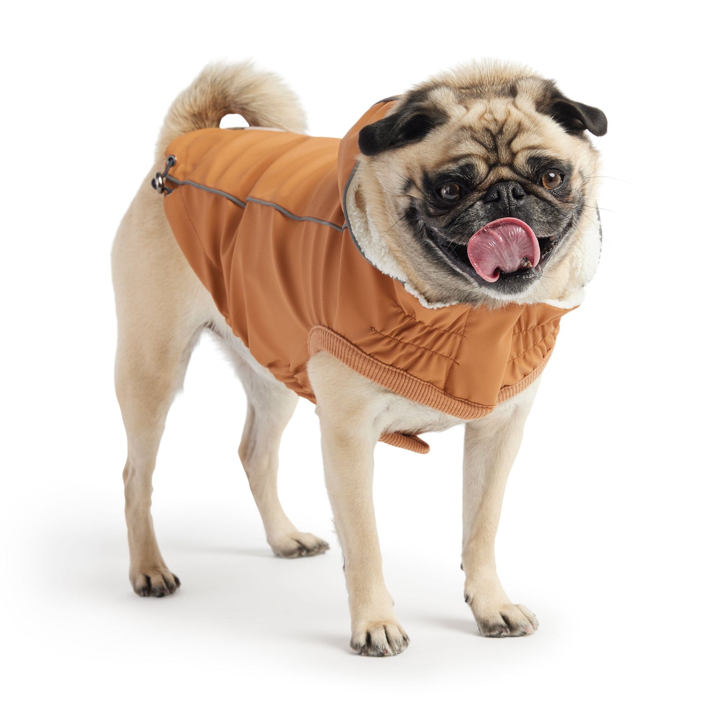 GF Pets Insulated Raincoat - Hazel