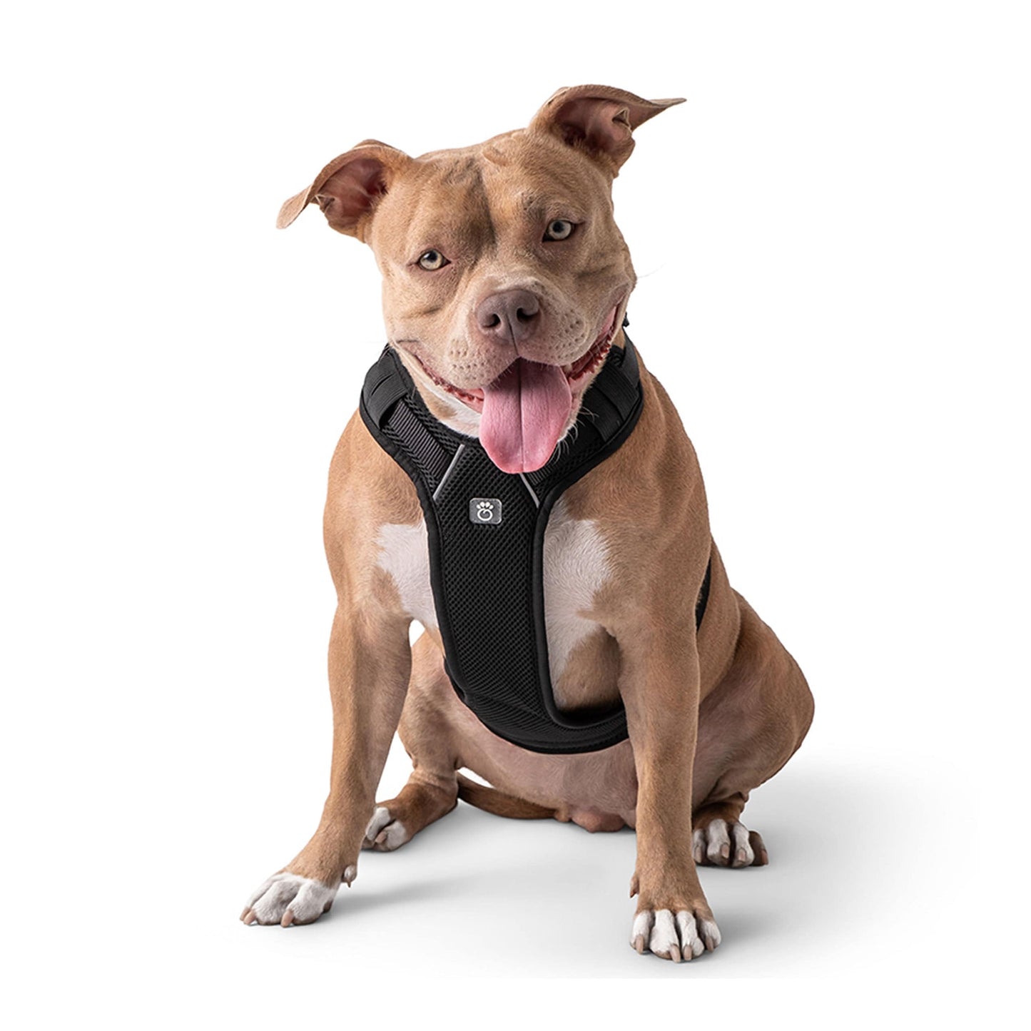 GF Pet - Travel Harness - Black