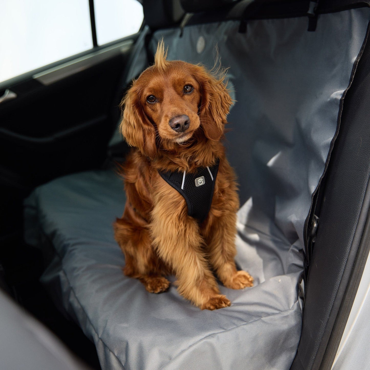 GF Pet - Travel Harness - Black