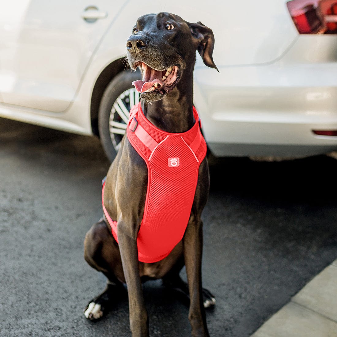 GF Pet - Travel Harness - Red