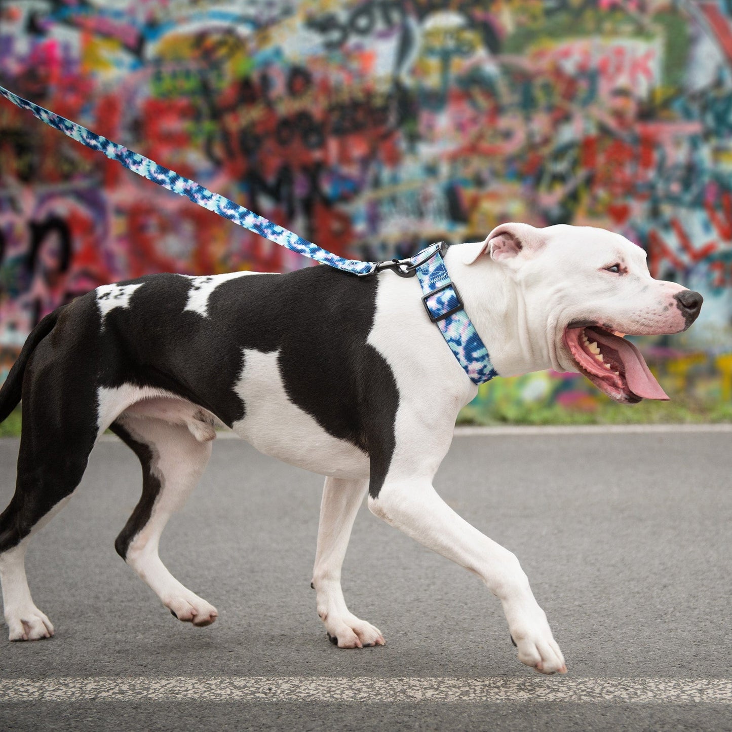 GF Pet - Printed Leash - Tie Dye