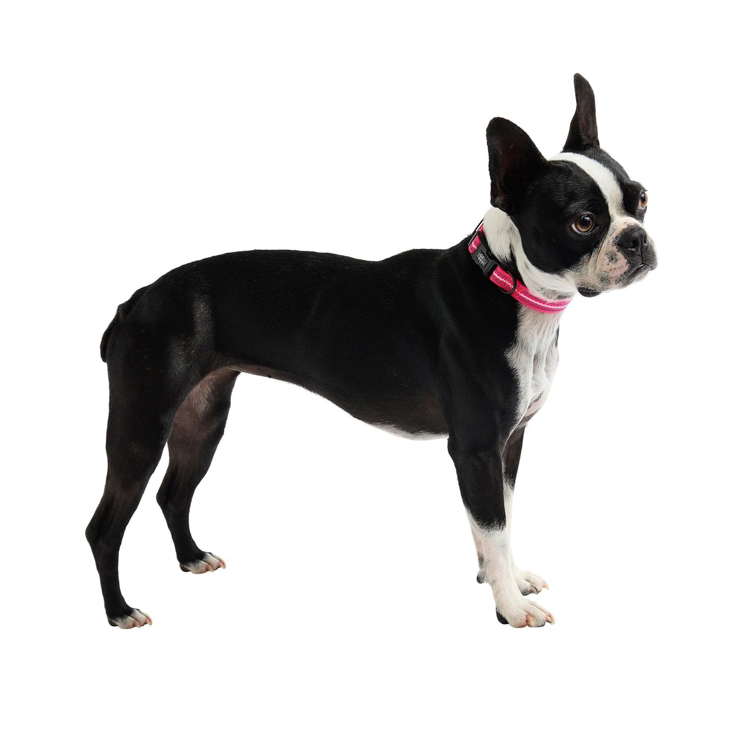 GF Pet - Reflective Collar - Neon Pink