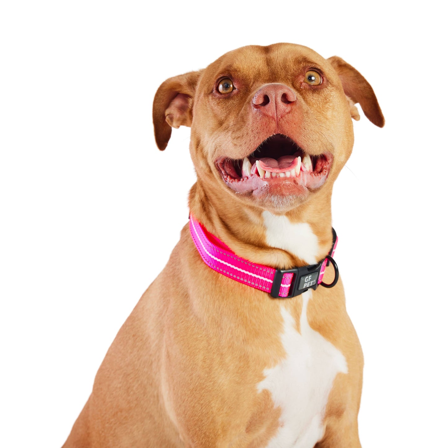 GF Pet - Reflective Collar - Neon Pink