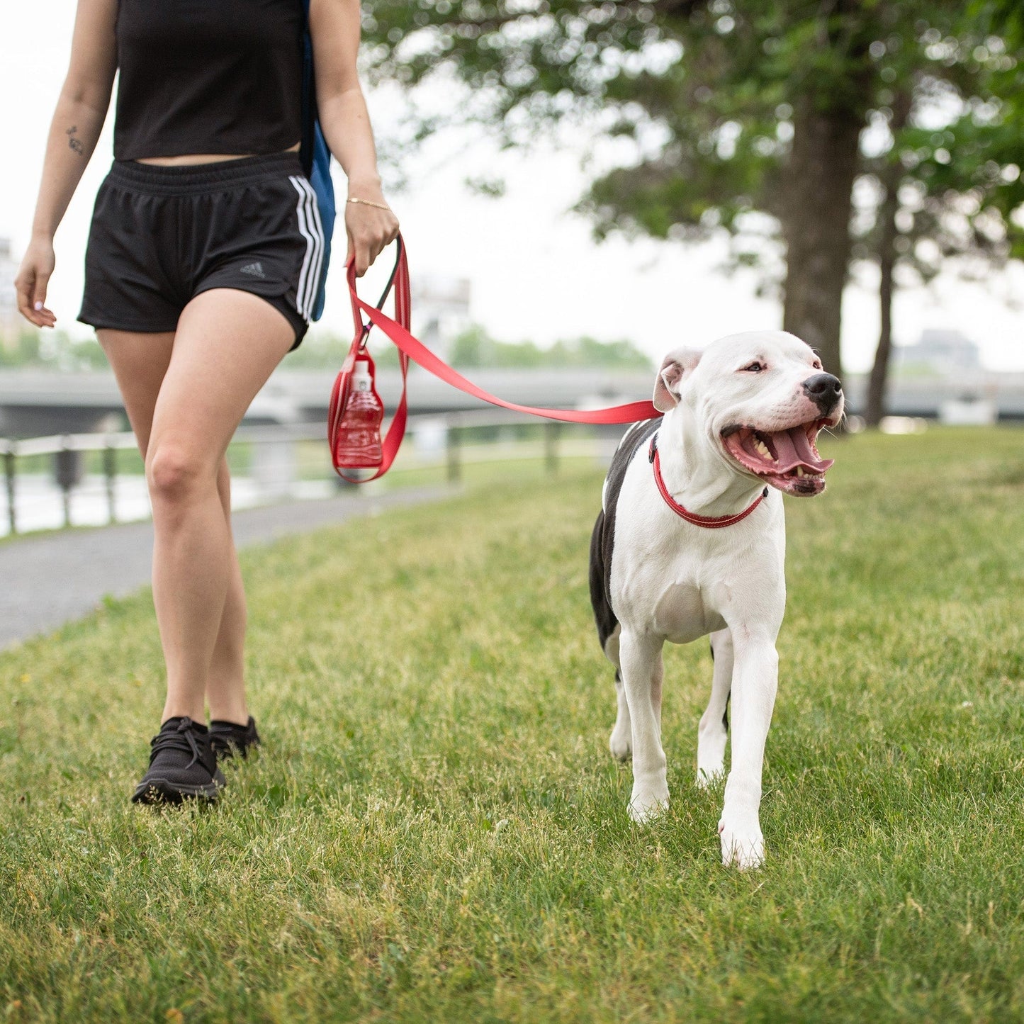 GF Pet - Reflective Collar - Red