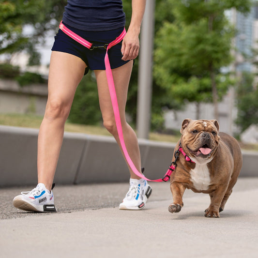 GF Pet - Reflective Leash - EEZY-6 - Neon Pink