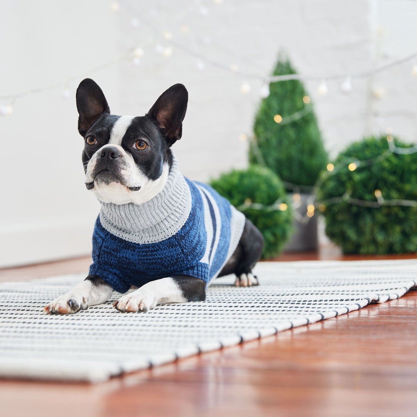 GF Pet - Trekking Sweater - Blue