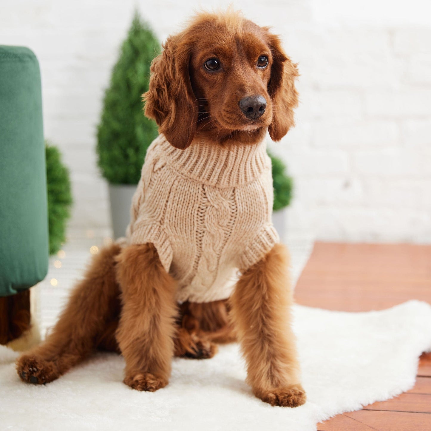 GF Pets Chalet Dog Sweater - Oatmeal