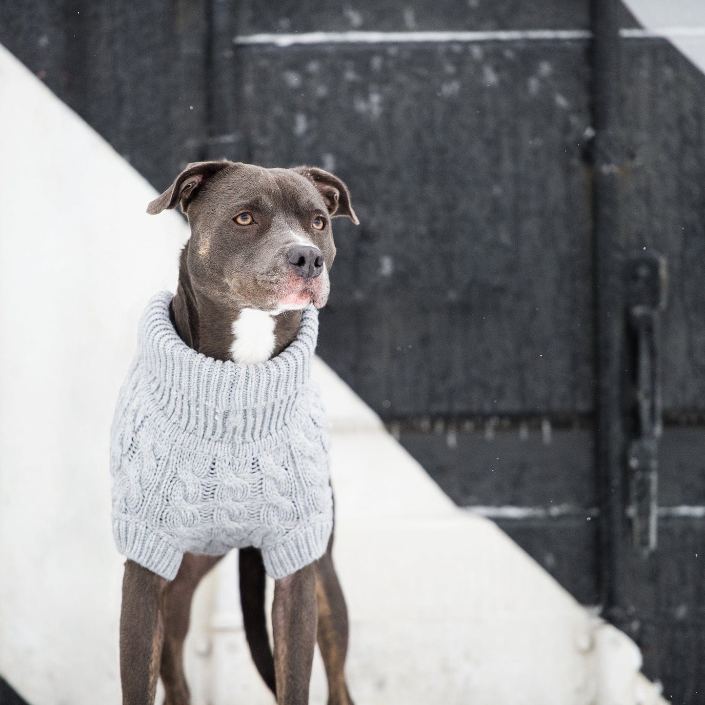 GF Pets Chalet Dog Sweater - Grey