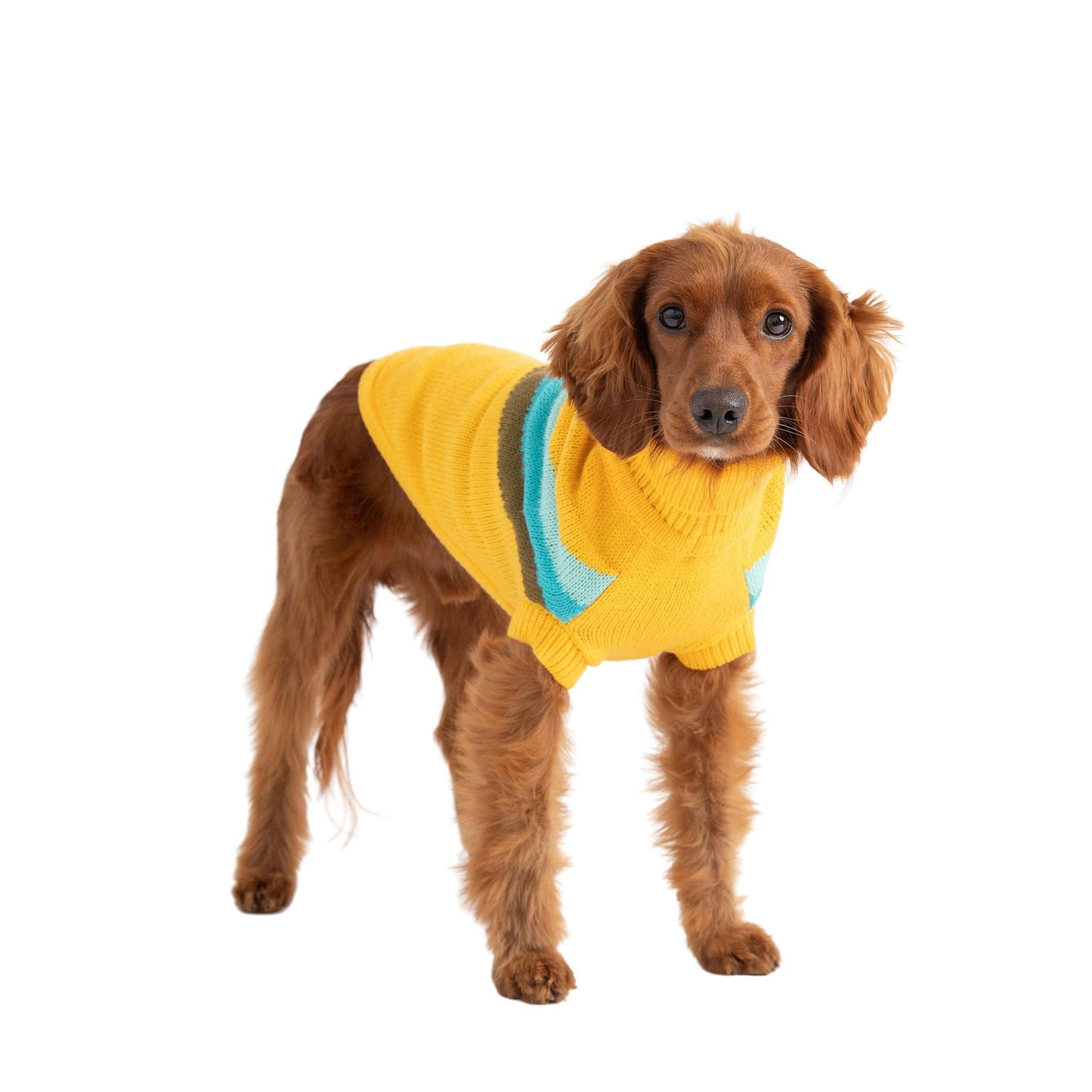 GF Pets Alpine Sweater - Yellow